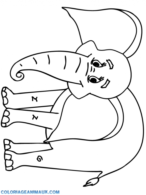 coloriage elephant de mer