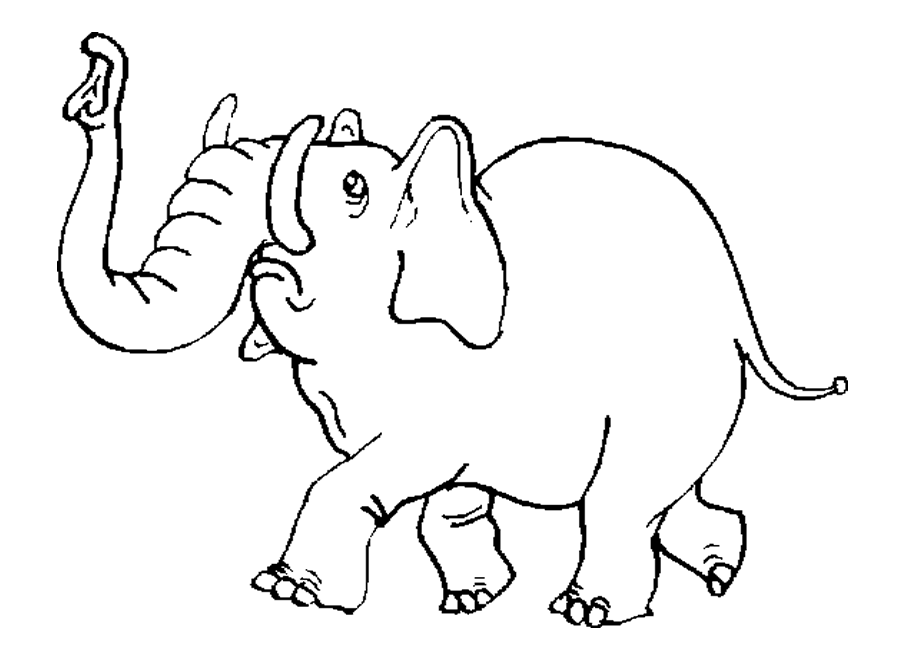 dessin d'un éléphant imprimer