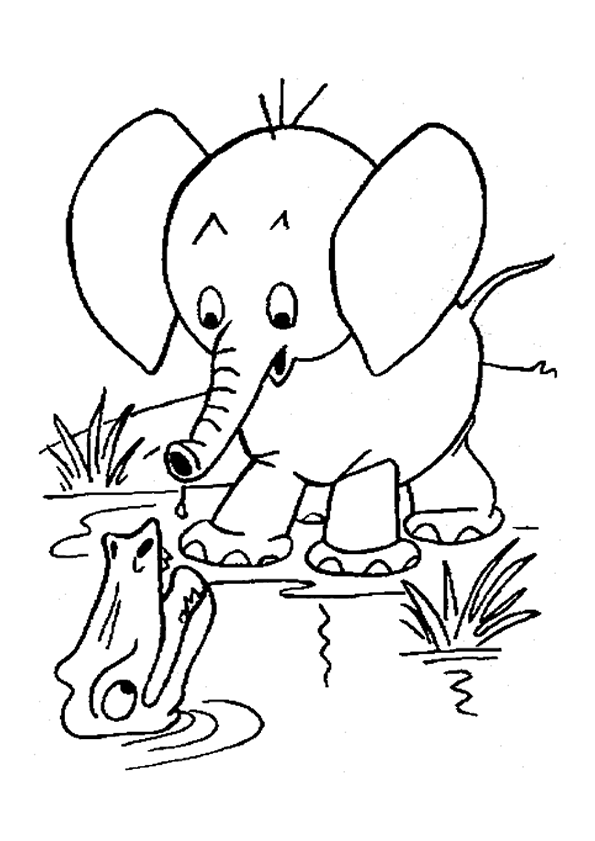 coloriage à dessiner elephant imprimer