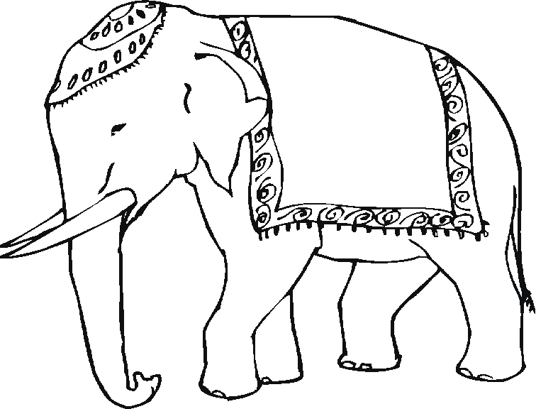 dessin à colorier petit elephant