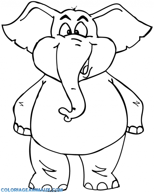 dessin à colorier elephant à imprimer gratuit