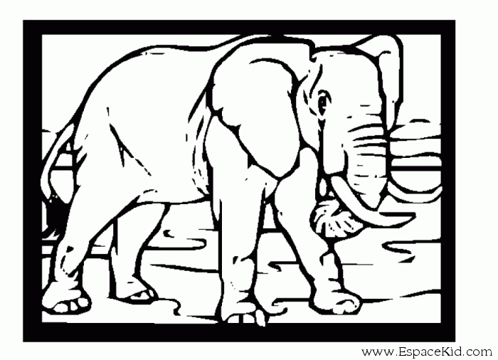 coloriage elephant elmer imprimer