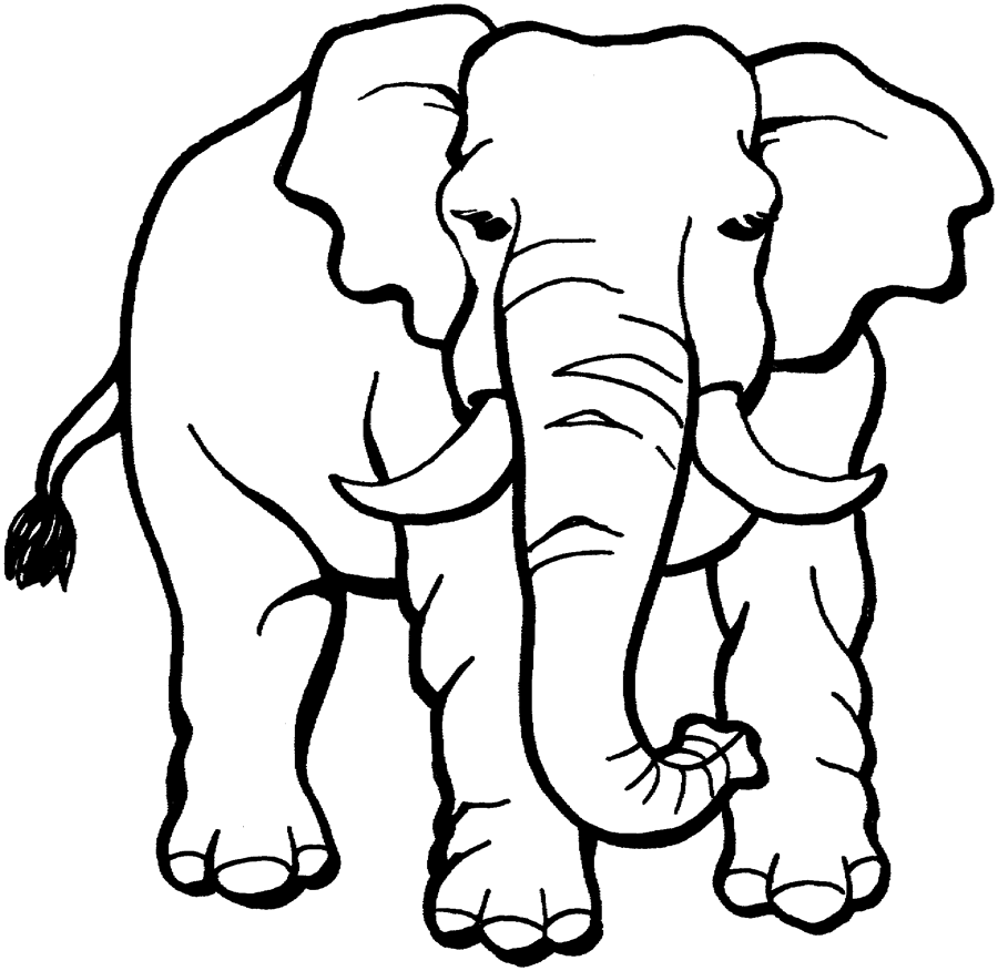 dessin  colorier magique cp elephant