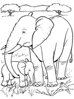 dessin à colorier magique elephant ce2