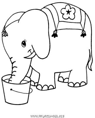 dessin elephant d'inde