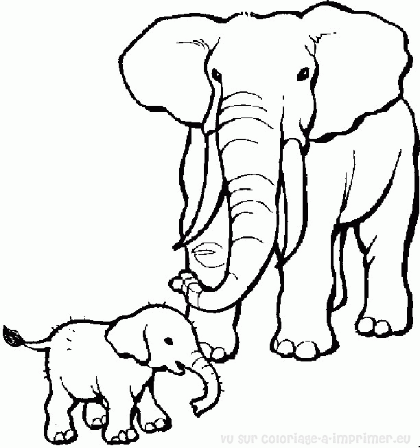 coloriage elephant d'afrique