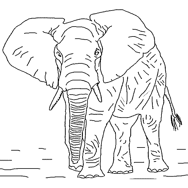dessin � colorier petshop elephant