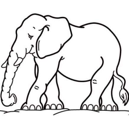 coloriage tete elephant