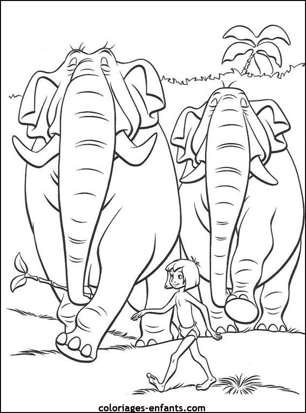 coloriage à dessiner elephant cirque