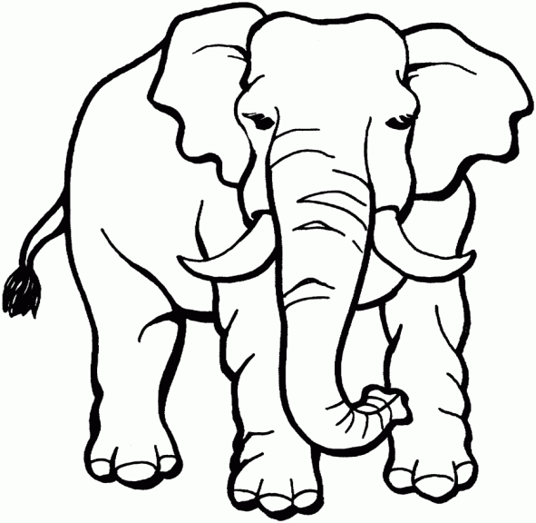 Coloriage A Dessiner Elephant D Afrique Coloriage A Dessiner Elephant D Afrique