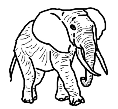 coloriage éléphant en ligne