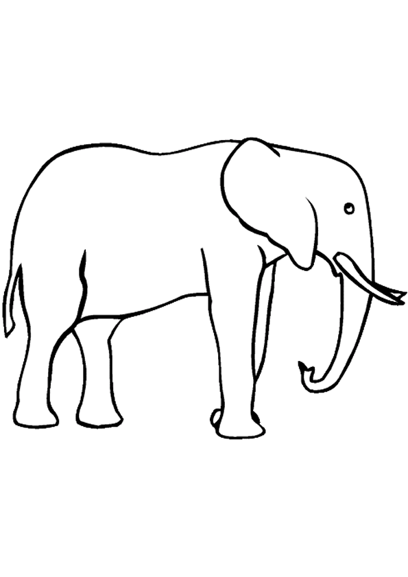 dessin à colorier elephant indien