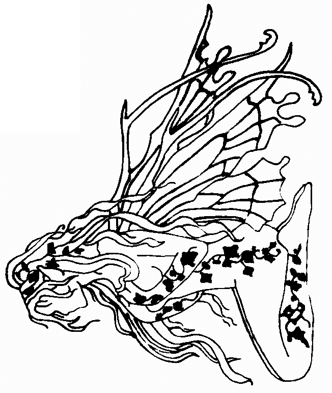 dessin elves