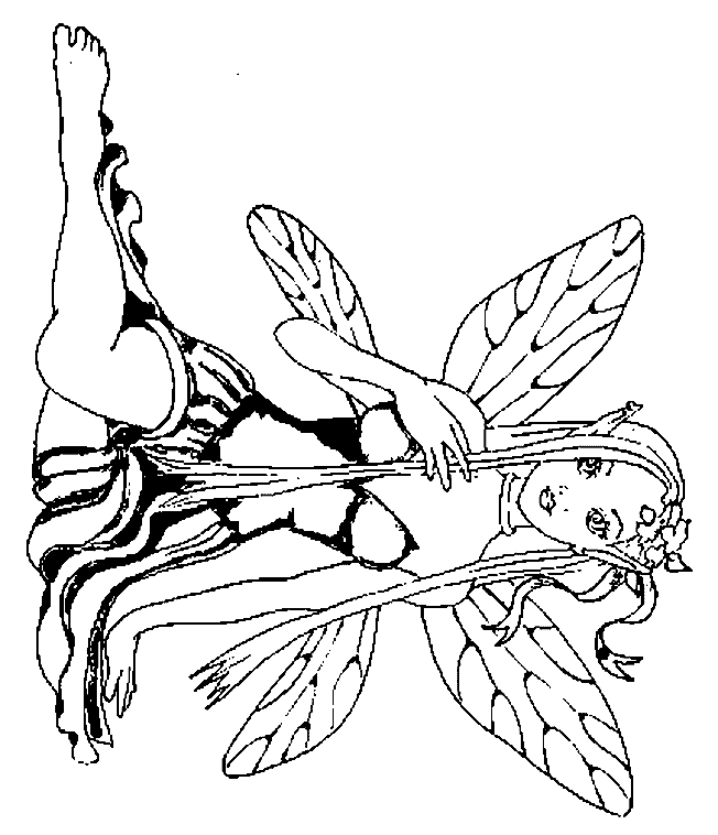 dessin  colorier lèves