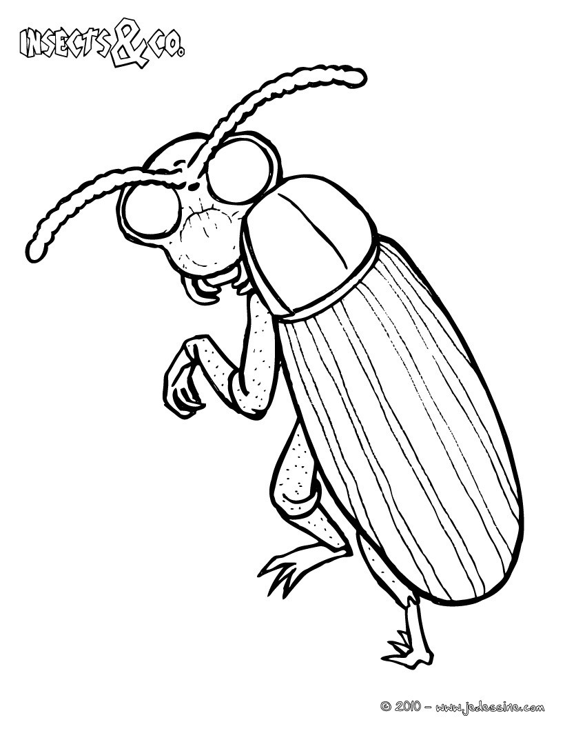 95 dessins de coloriage En Ligne Libellule à imprimer coloriage en ligne libellule