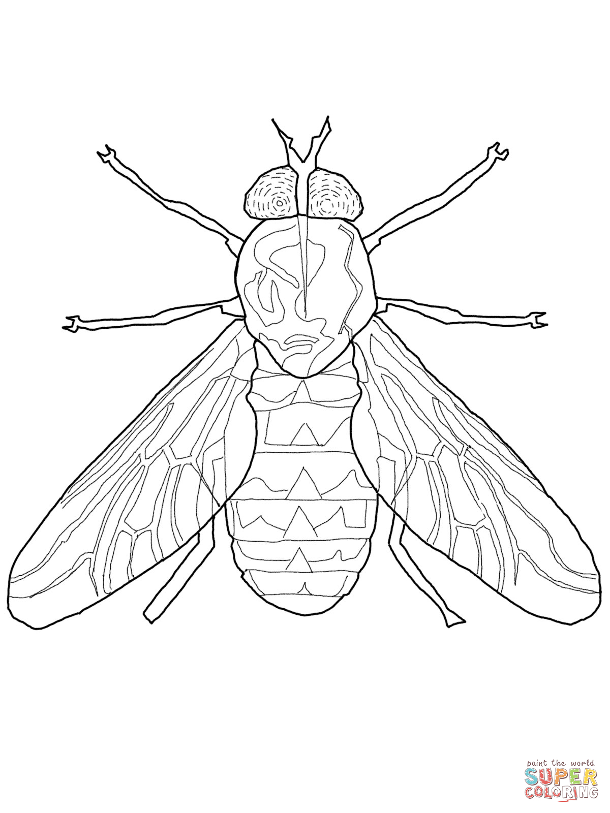 coloriage en ligne mouche