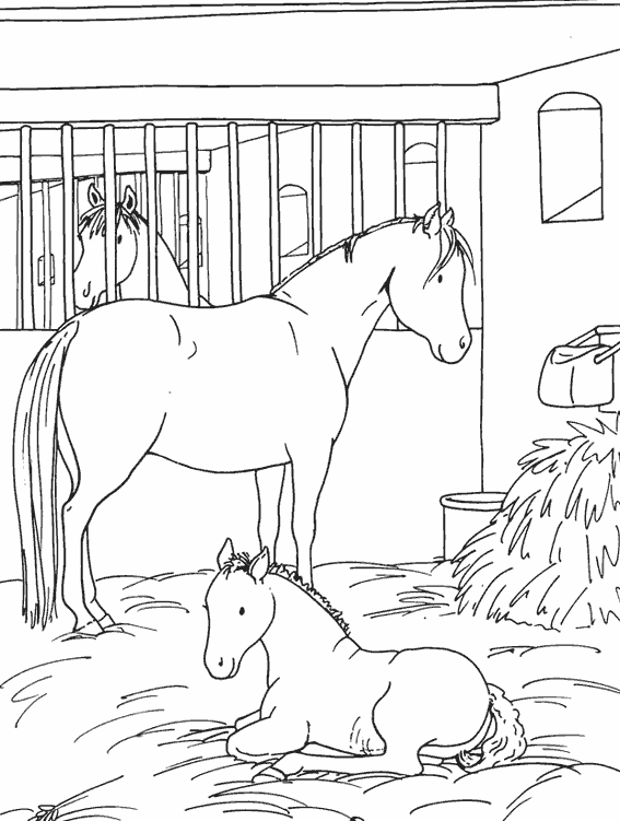 coloriage equitation