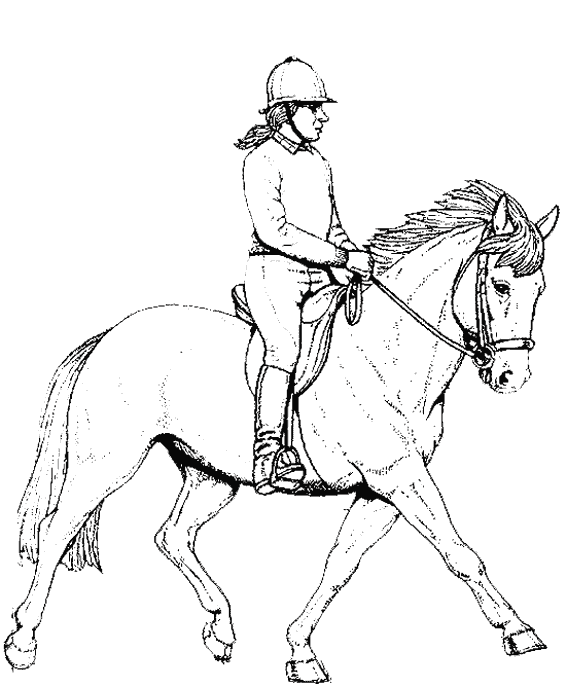 dessin  colorier equitation gratuit
