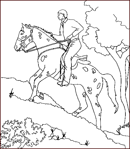 dessin equitation