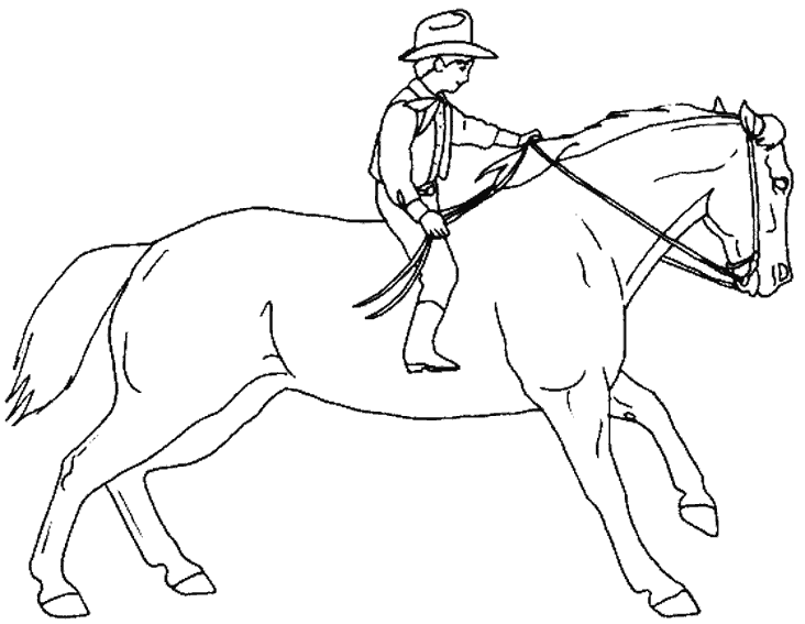 dessin concours equitation