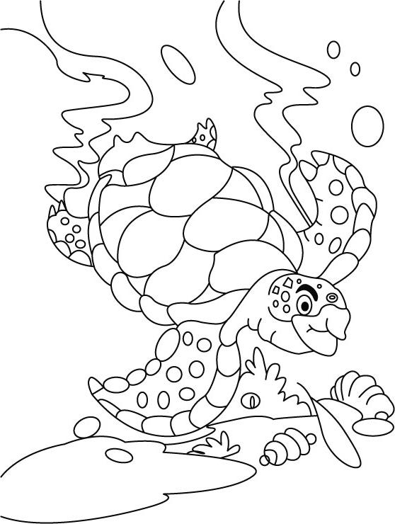 coloriage escargot hugo lescargot