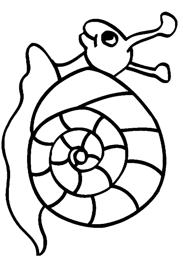 coloriage escargot hugo lescargot