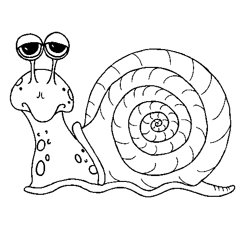 hugo l'escargot dessin Ã colorier ecureuil