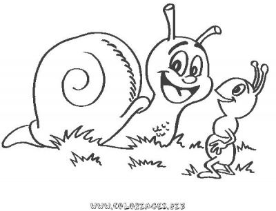 dessin à colorier escargot turbo a imprimer