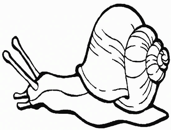 coloriage à dessiner hugo l'escargot one piece