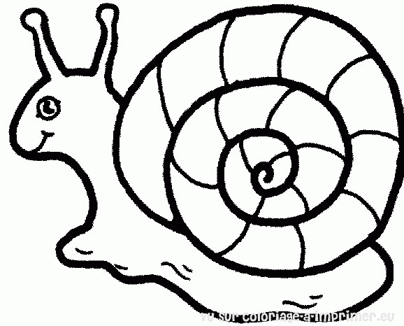 clipart gratuit escargot - photo #21