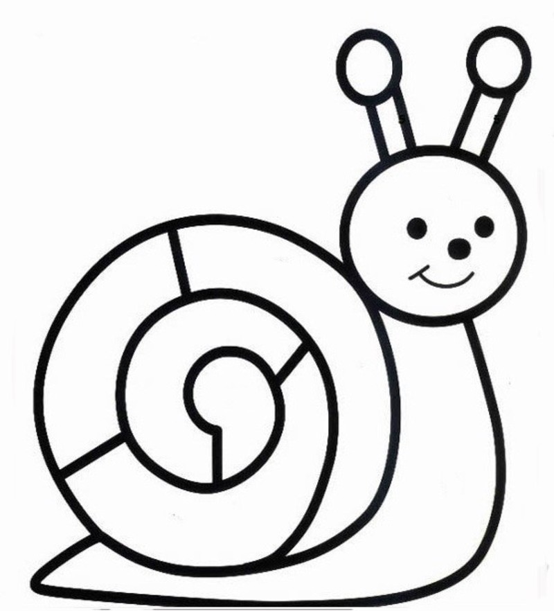 coloriage escargot