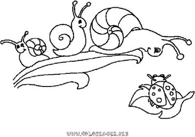 dessin à colorier noel hugo escargot
