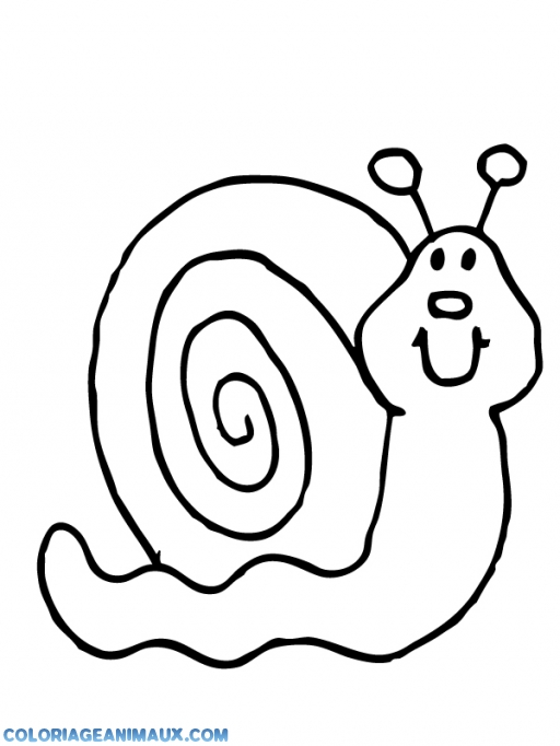 coloriage escargot turbo a imprimer