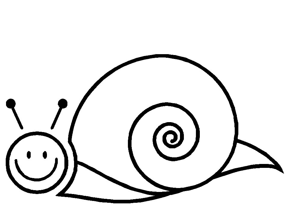 dessin turbo l'escargot gratuit