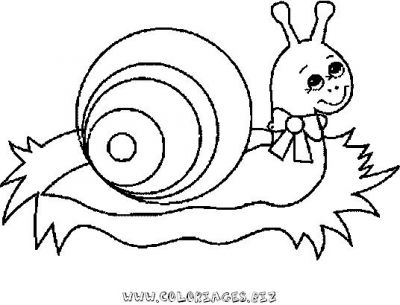 dessin à colorier magique escargot ms