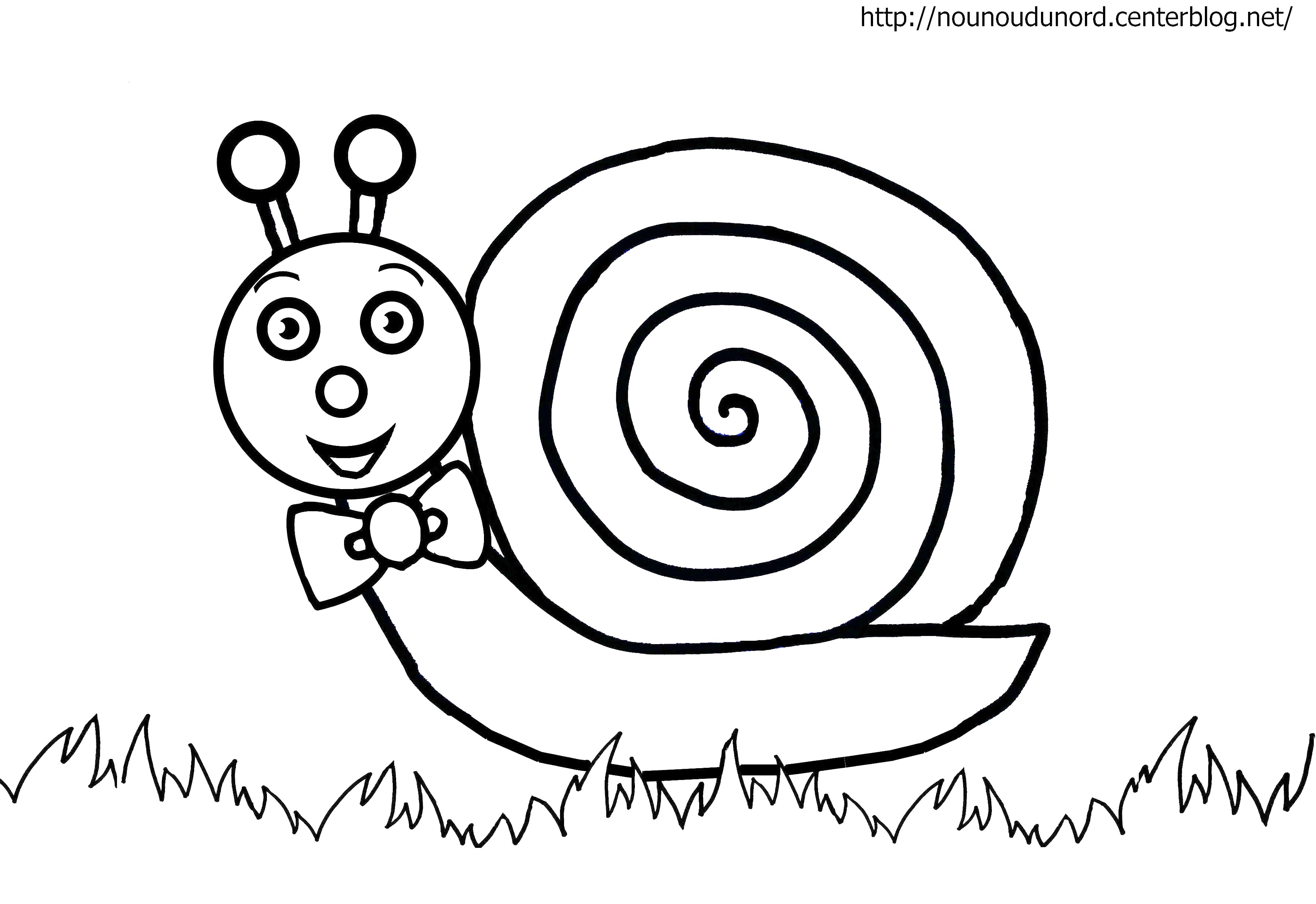 coloriage escargot