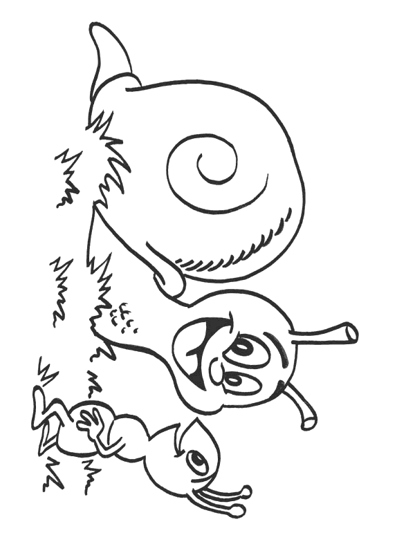 dessin  colorier coquille escargot