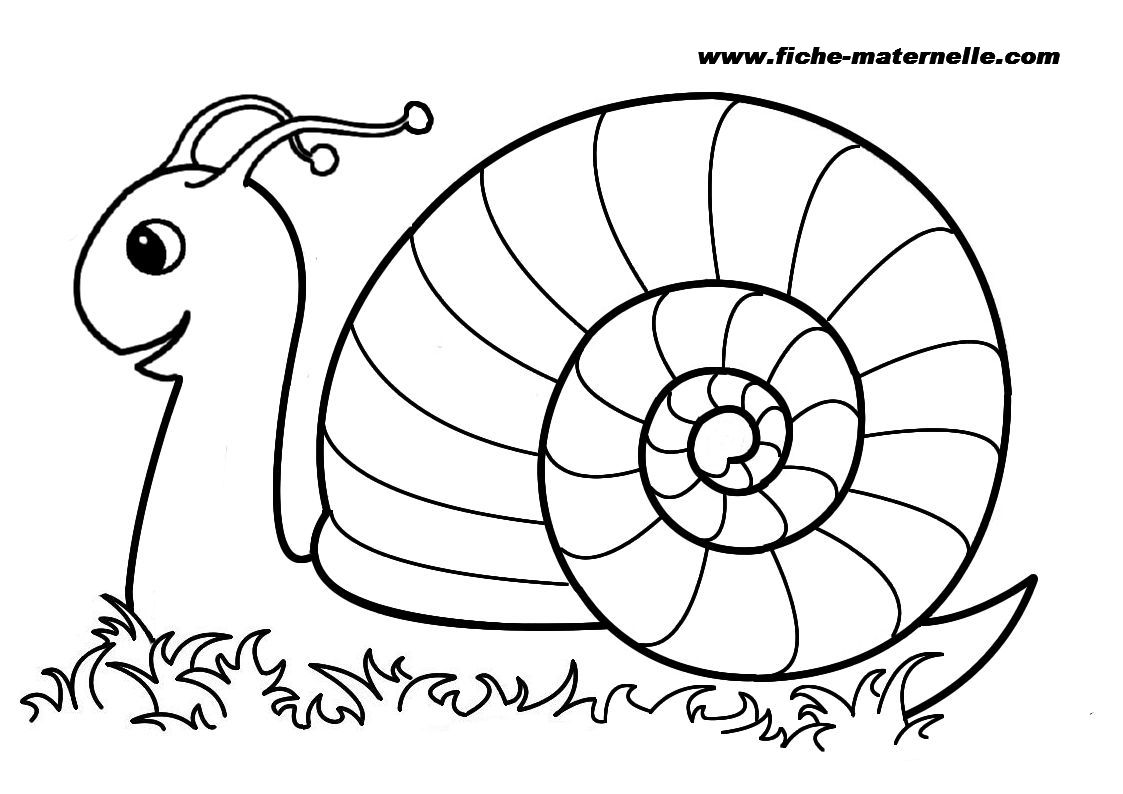 Nice Coloriage Hugo L Escargot Animaux 7 Hugo Lu0027escargot Dessin Sur Ordinateur