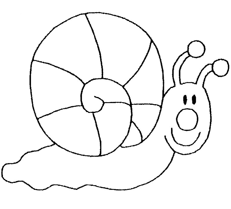 dessin petit escargot