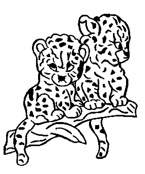 Dessin A Colorier Felins Dessin A Colorier Felins