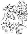 Coloriage Faon à colorier - Dessin à imprimer coloriage à dessiner fond d'écran