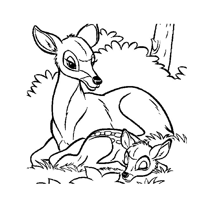 Coloriage A Dessiner Cerf Biche Faon