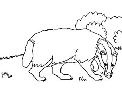 Coloriage Faon à colorier - Dessin à imprimer dessin à colorier de fond marin