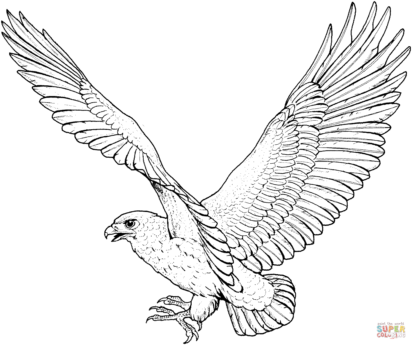 dessin à colorier oeil de faucon