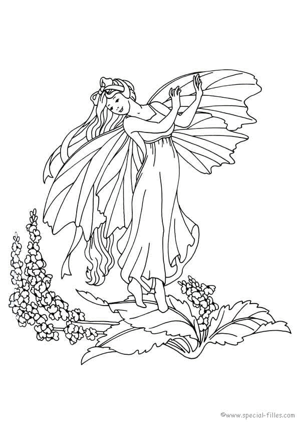 120 dessins de coloriage Fée à imprimer