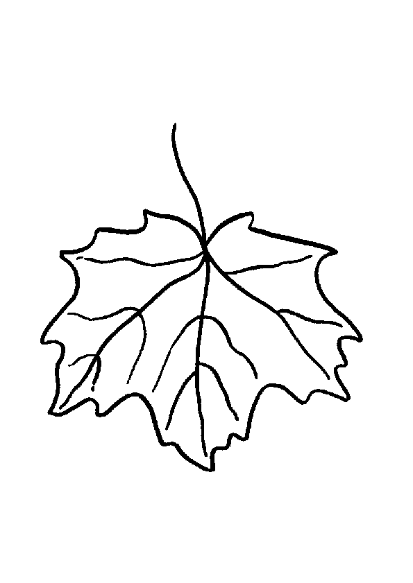 dessin  colorier de feuille a imprimer gratuit