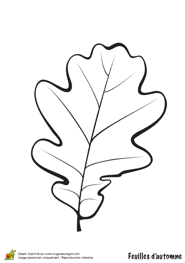 coloriage feuille de pommier