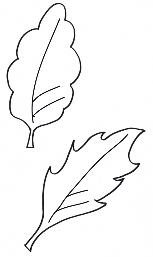 feuille d arbre dessin coloriage 195 dessiner feuille d arbre feuille d arbre dessin coloriage 195 dessiner feuille d arbre