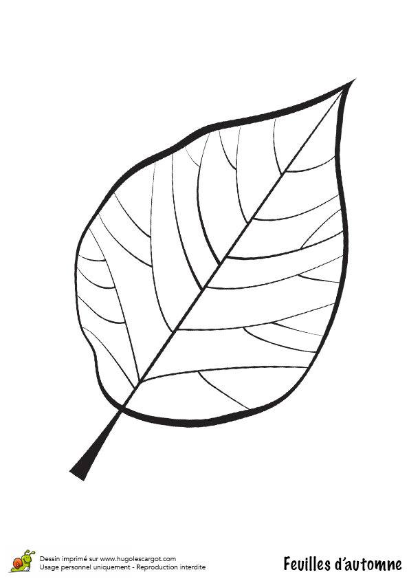 32 Dessins De Coloriage Feuille à Imprimer