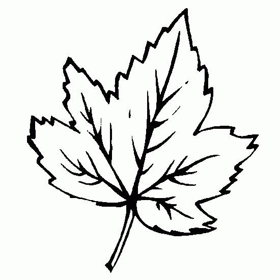 dessin en ligne feuille d automne